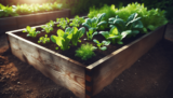 Build A Raised Bed Vegetable Garden For Easy Maintenance.