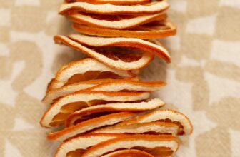 How to Make Citrus Garlands + Mistakes I Made Along the Way